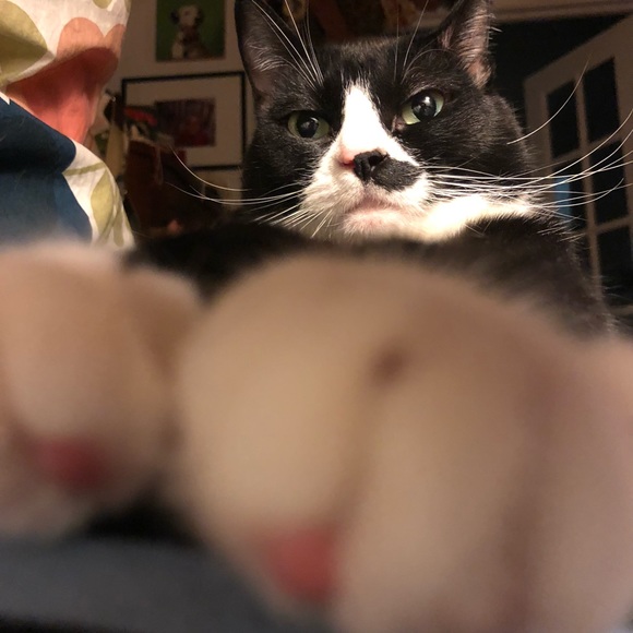 Meet your Posher, Ae - Picture 1 of 1